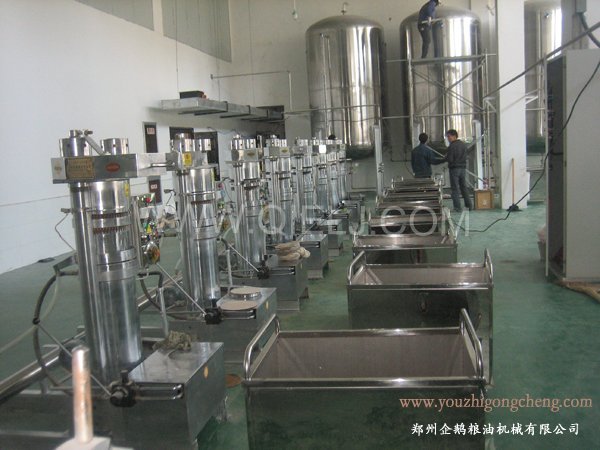 核桃油提取設(shè)備 企鵝牌核桃油設(shè)備 質(zhì)優(yōu)價好！(圖2)